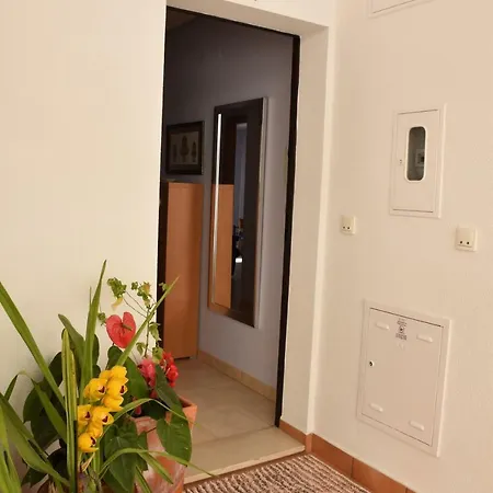 Terrace Oasis Apartment